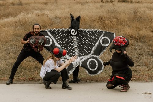 The Council of Spider, Ant & Fly