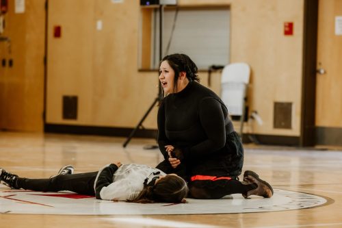 The Council of Spider, Ant & Fly